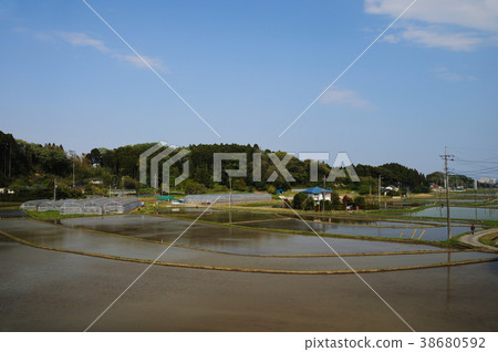 稻田Satoyama鄉下鄉下風景新綠色 稻田Satoyama鄉下鄉下風景新綠色 38680592
