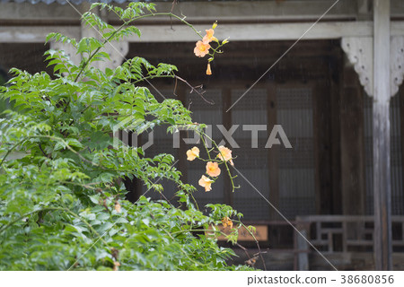 Mission, Gangneung, Gangwon-do Mission, Gangneung, Gangwon-do 38680856