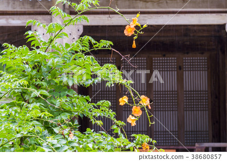 Mission, Gangneung, Gangwon-do Mission, Gangneung, Gangwon-do 38680857