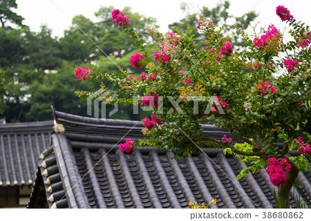 Mission, Gangneung, Gangwon-do Mission, Gangneung, Gangwon-do 38680862