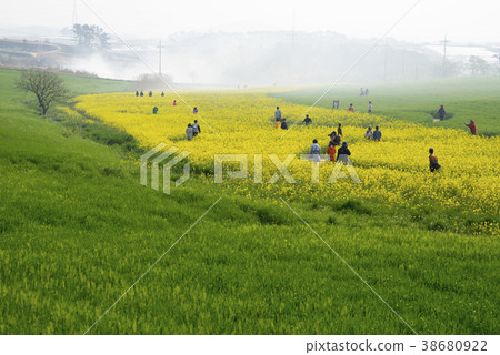 Gonwon農場，Gochang-gun，Jeonbuk 38680922