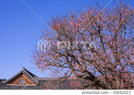 Tongdosa, Yangsan, Gyeongnam 38682023