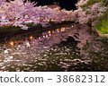 Cherry blossoms at night 38682312