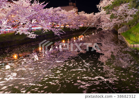 夜晚的櫻花 夜晚的櫻花 38682312