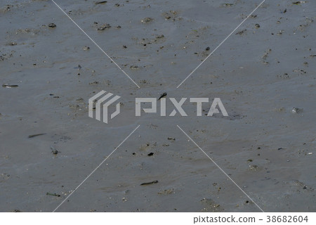 Jeonnam, Shinan County, Jindo, Chung Fat Beach Jeonnam, Shinan County, Jindo, Chung Fat Beach 38682604