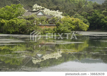 Woo Yangji, Milyangsi, Gyeongnam 38682639