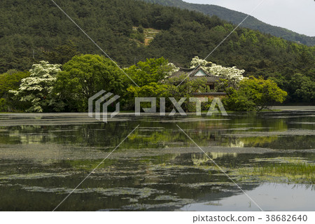 Woo Yangji，Miyangsi，Gyeongnam 38682640