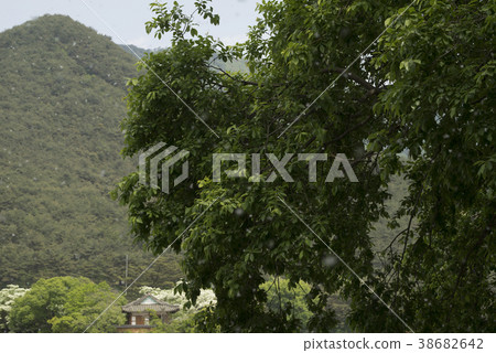 Woo Yangji，Miyangsi，Gyeongnam 38682642