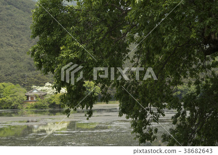 Woo Yangji, Milyangsi, Gyeongnam 38682643