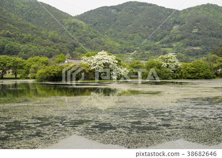 Woo Yangji,Miyangsi,Gyeongnam Woo Yangji,Miyangsi,Gyeongnam 38682646