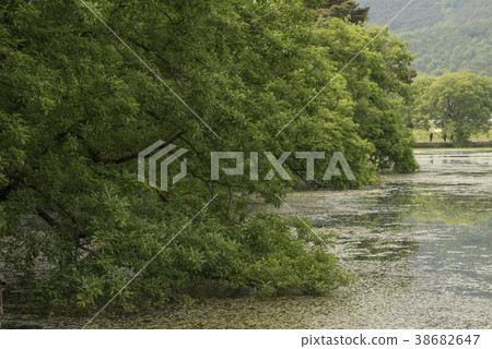 Woo Yangji，Miyangsi，Gyeongnam 38682647