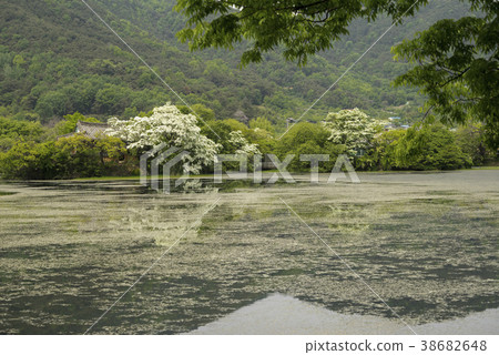 Woo Yangji，Miyangsi，Gyeongnam 38682648