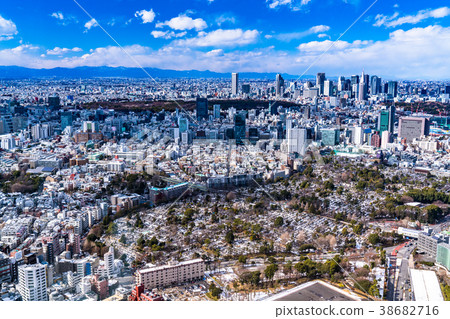 Tokyo cityscape 38682716