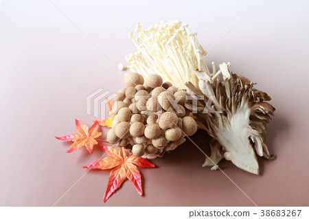 Enoki Shijiji Maitake 38683267
