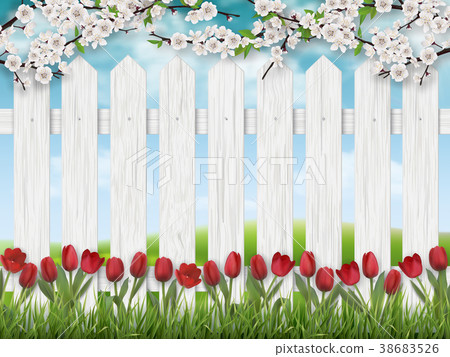 Spring landscape with tulips and fence. Spring landscape with tulips and fence. 38683526