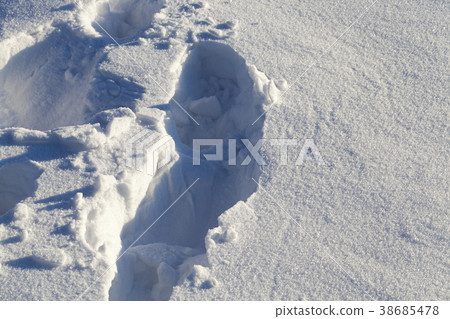 Footprints , close up 38685478