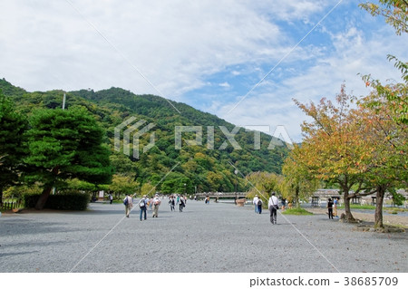 Arashiyama Park Nakanoshima area 38685709