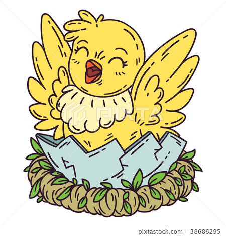 Chicken hatches from the egg. 38686295