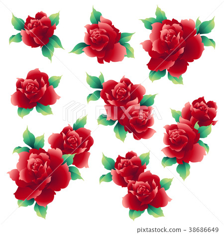 Rose illustration material 38686649