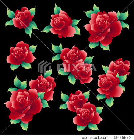 Rose illustration material 38686650