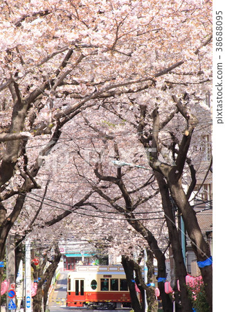 Tokaida and the cherry tree 38688095