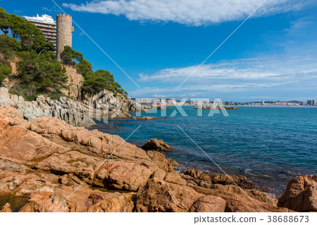 Nice detail from Costa Brava coastal in Spain Nice detail from Costa Brava coastal in Spain 38688673