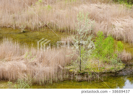 abandoned flooded quarry, Czech republic abandoned flooded quarry, Czech republic 38689437
