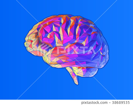 Low poly brain illustration isolated on blue BG Low poly brain illustration isolated on blue BG 38689535