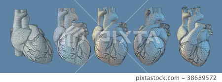 3D human heart illustration in various view 3D human heart illustration in various view 38689572