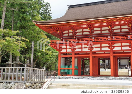 Koyasan Nakamon-4 Koyasan Nakamon-4 38689866