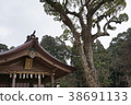 Tomonomiya Komon Shrine 38691133