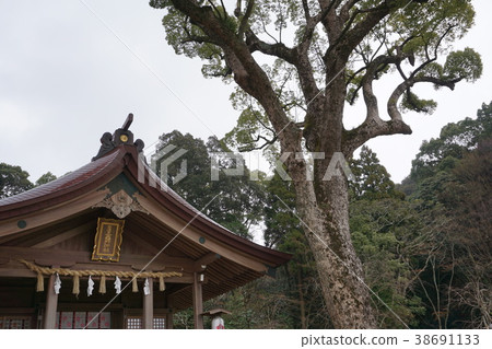 Tomonomiya Komon Shrine 38691133