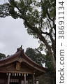 Tomonomiya Komon Shrine 38691134