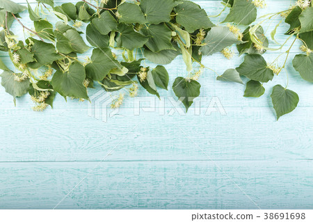linden color on a wooden background. linden color on a wooden background. 38691698