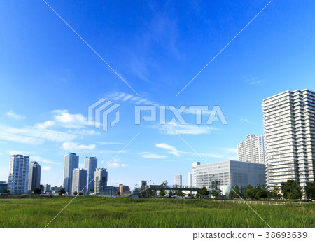 Urban scenery (Kanagawa, Minatomirai, summer) 38693639