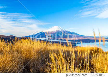 Mount Fuji Lake Yamanaka 38694032