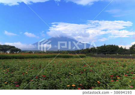 Superb view (Yamanashi Prefecture, Flower City, Summer) 38694193