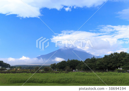 Superb view (Yamanashi Prefecture, Flower City, Summer) 38694194