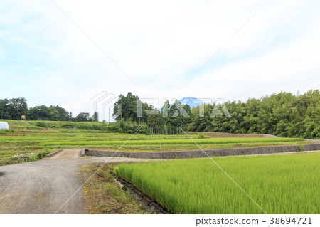 Fabulous landscape (Shizuoka prefecture, Mt. Fuji, early summer) 38694721