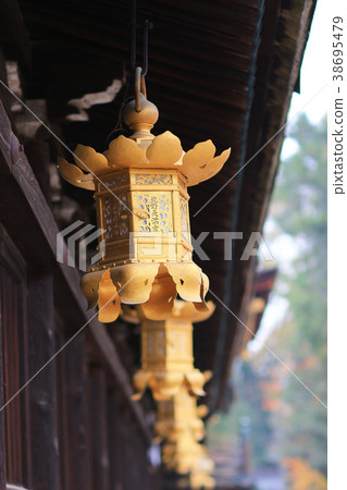 Golden lantern in Kitano Tenmangu shrine in Kyoto. 38695479
