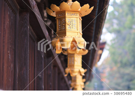 Golden lantern in Kitano Tenmangu shrine in Kyoto. Golden lantern in Kitano Tenmangu shrine in Kyoto. 38695480