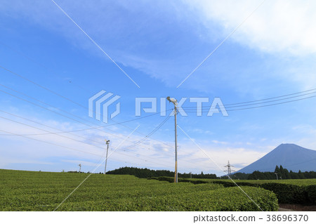 Amazing scenery (Shizuoka Prefecture, Mt. Fuji, summer) 38696370