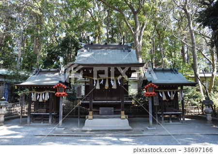 平塚市神社平塚八幡宮 38697166