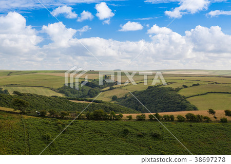 Typical landscape in Devon, Great Britain Typical landscape in Devon, Great Britain 38697278