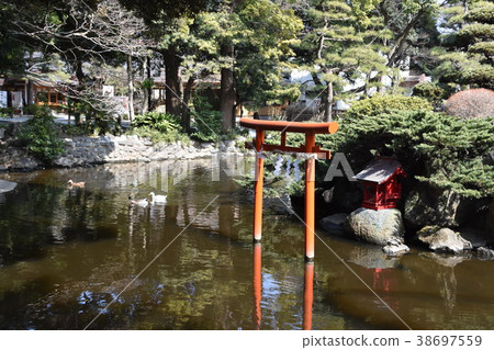 平塚市神社平塚八幡宮 平塚市神社平塚八幡宮 38697559