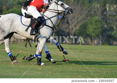 polo players are competing in the field 38698897