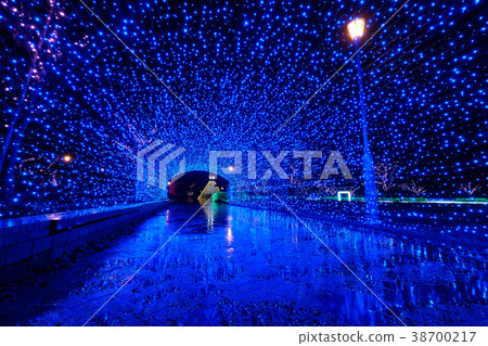 Shiga miriat 38700217