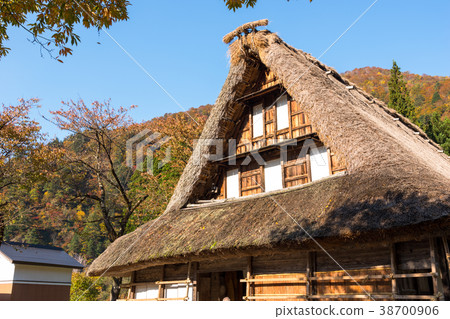 Auspicious houses built with colored leaves and Gokayama-Saginuma Auspicious houses built with colored leaves and Gokayama-Saginuma 38700906