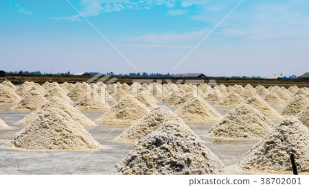 salt stack 38702001