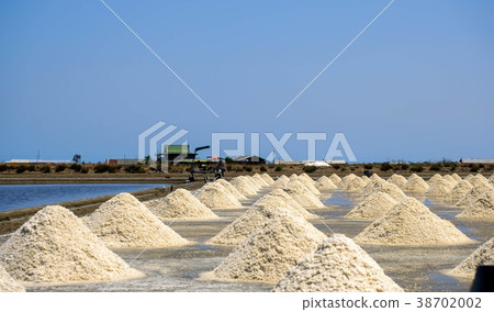 salt stack salt stack 38702002